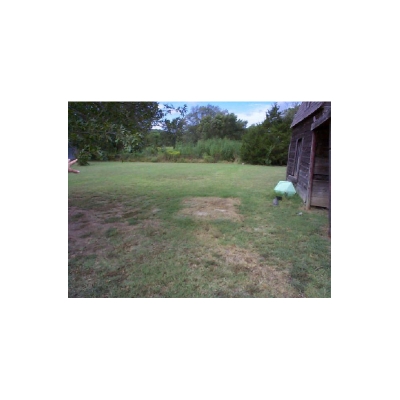 home14.jpg