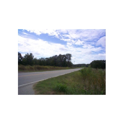 home19.jpg