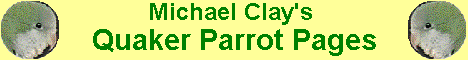 Bright Acres Quaker Parrots